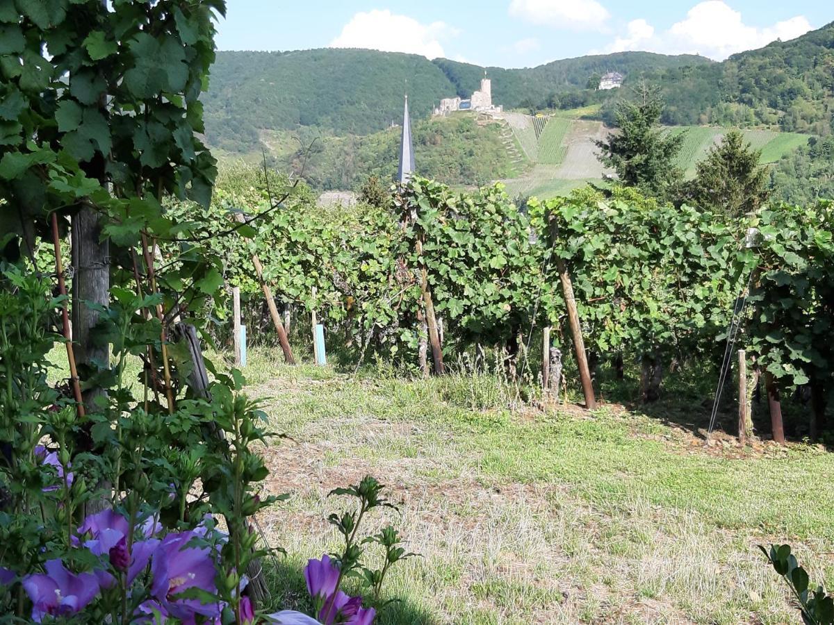 Ferienappartement Lieser Bernkastel-Kues Bagian luar foto